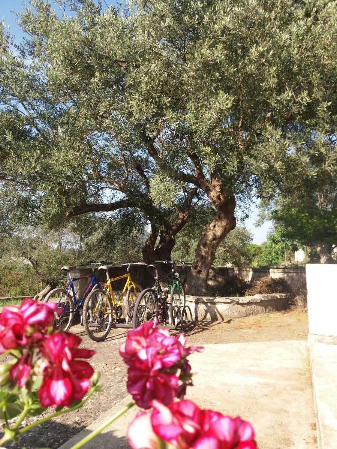 Villa Relax Martina Franca Exteriér fotografie